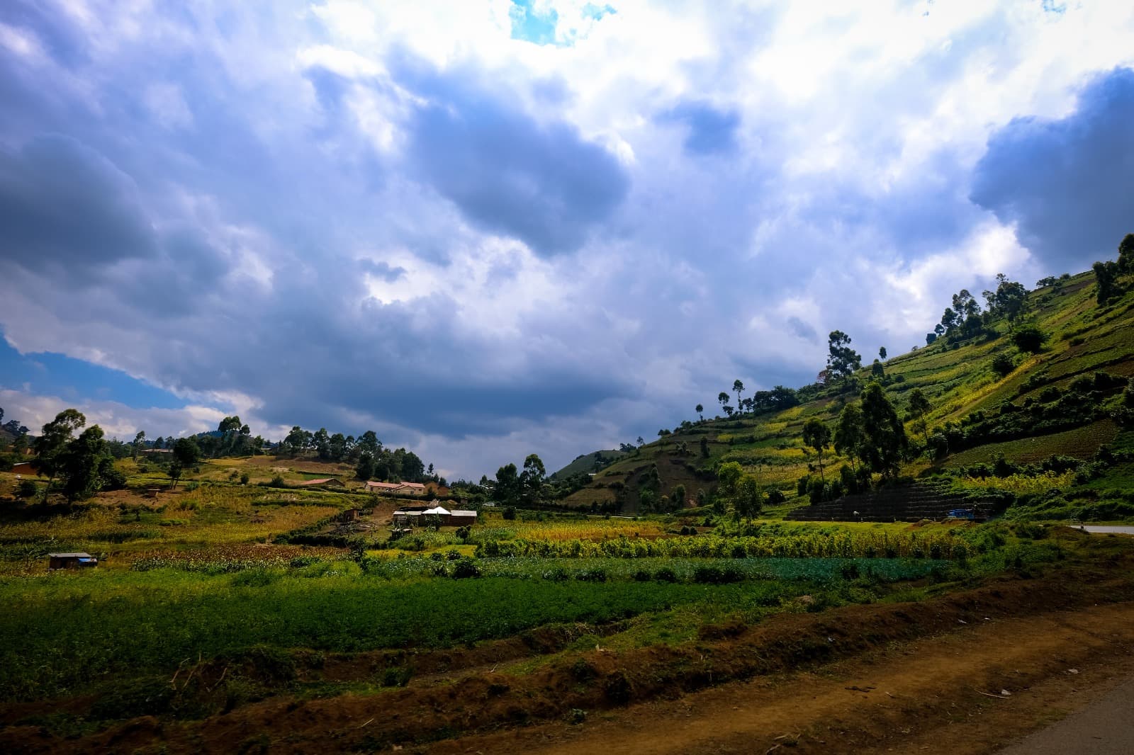 Why Is Paud the Next Big Place to Invest in F Row – Discover Pune’s Fastest-Growing Investment Corridor