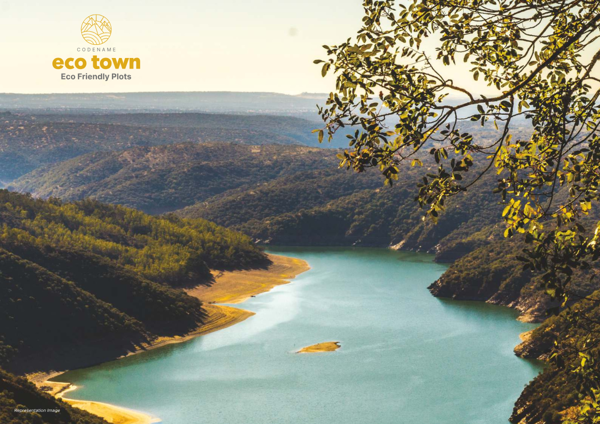 Investment Opportunity