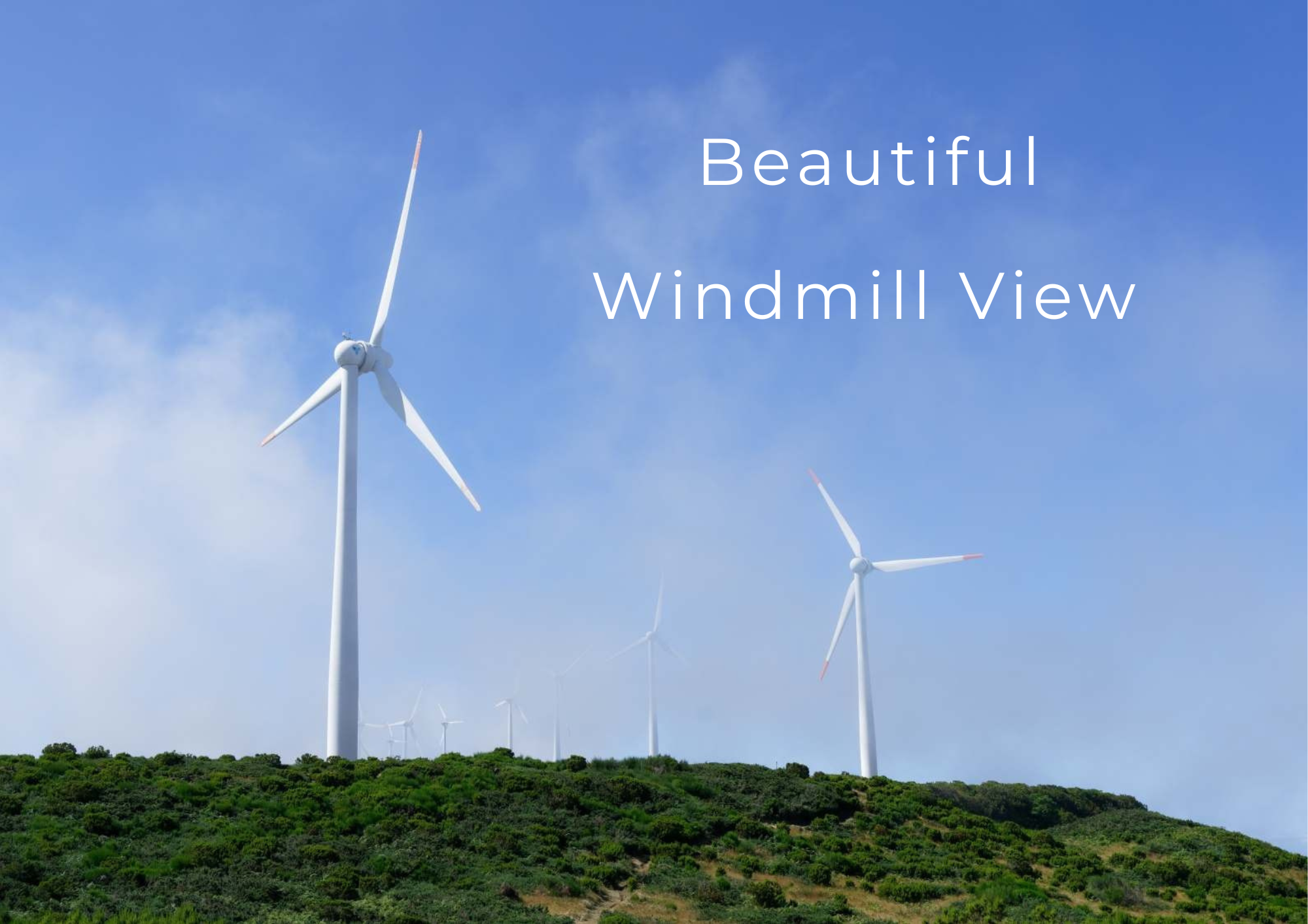 Windmill View